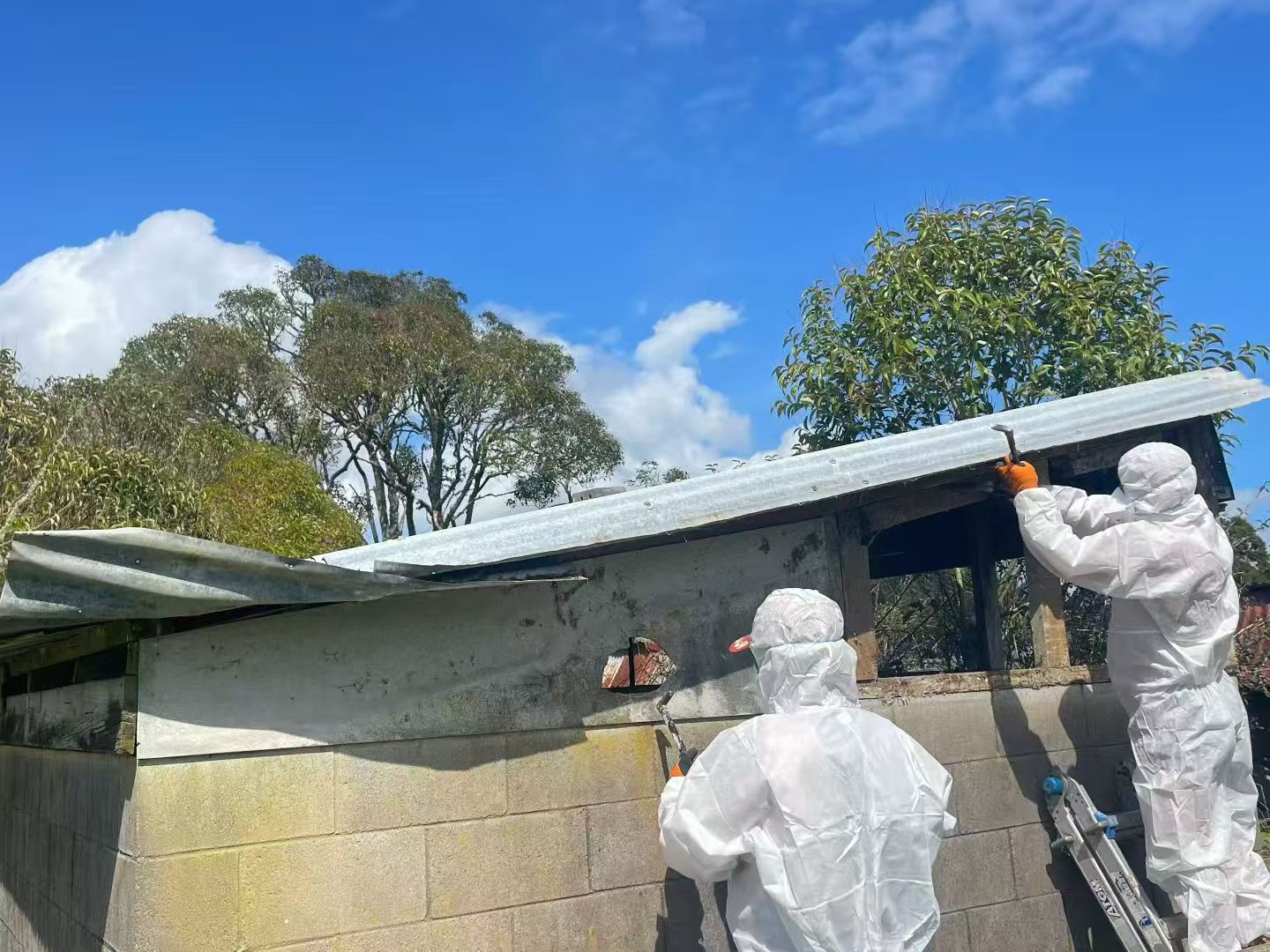 SLINE asbestos roof removal in a managed site environment